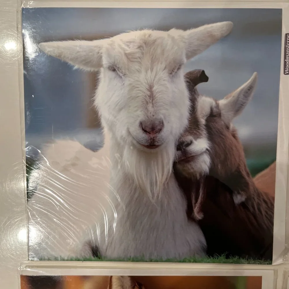 Greeting Cards - Beautiful Photography - Blank‎ (Set of 4 / New)